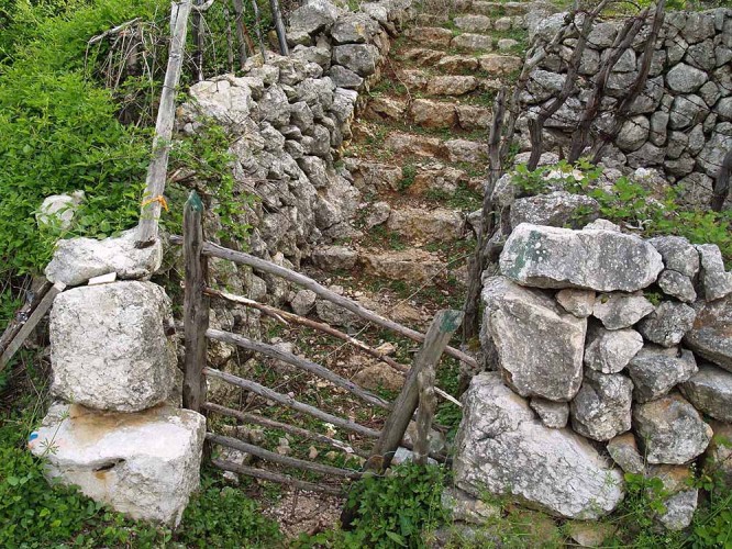 Zatoka or lesa wooden gate (foto Priroda archive)