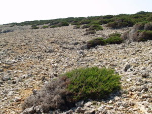 NATURE OF BURA WIND ON THE ISLAND OF CRES