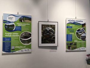 Izložba Vodeni biseri jadranskih otoka - možete pogledati u Centru za posjetitelje u Belom